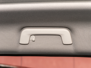 2021PLUS 1.5T DCTɽ 7 g