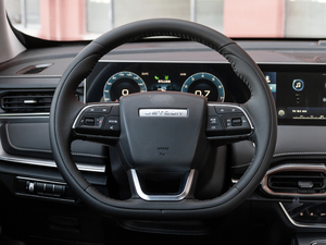 2021款PLUS 1.5T DCT山 7座 方向盘