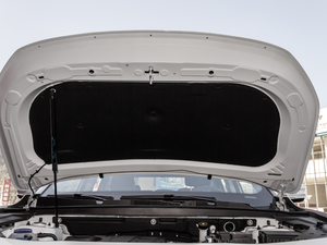 2021款PLUS 1.5T DCT山 7座 其它