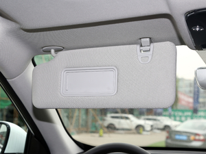 2021PLUS 1.6T DCT 5 g