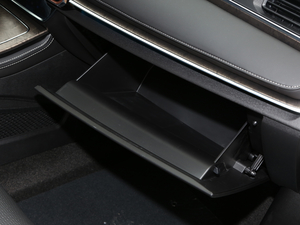 2021PLUS 1.6T DCT 5 g