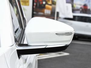 2021款PLUS 1.6T DCT星 6座 后视镜