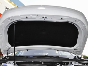 2021款PLUS 1.6T DCT星 6座 其它