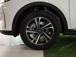 2021PLUS 1.5T ք 6 ^