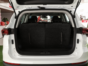 2021PLUS 1.5T ք 6 g