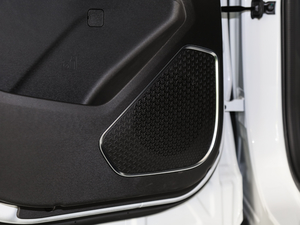 2021PLUS 1.5T ք 6 g