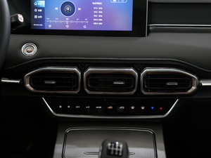 2021PLUS 1.5T ք 6 {L