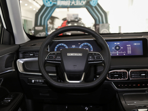 2021款PLUS 1.5T 手动林 6座 方向盘