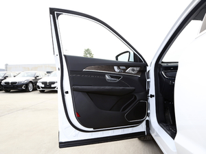 2021款PLUS 1.6T DCT星 7座 驾驶位车门