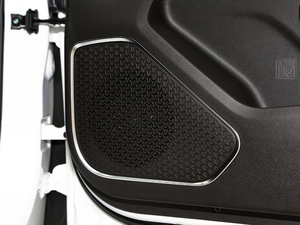 2021PLUS 1.6T DCT 7 g