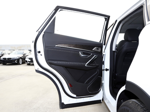 2021款PLUS 1.6T DCT星 7座 左后车门