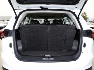 2021PLUS 1.6T DCT 7 g