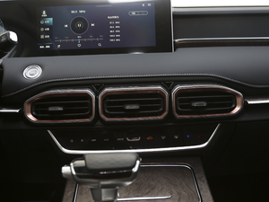 2021PLUS 1.6T DCT 7 {L