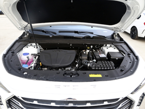 2021款PLUS 1.6T DCT星 7座 发动机