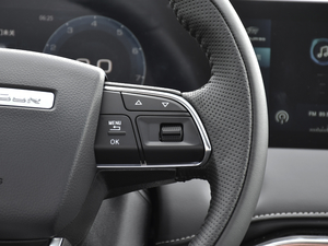 2021PLUS 1.5T քL 7 п؅^