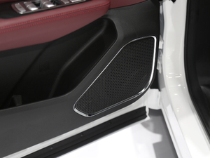 2021 PLUS 1.6T DCT 5 g