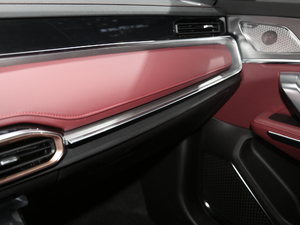 2021 PLUS 1.6T DCT 5 g