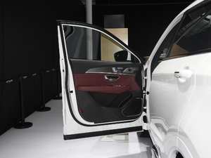 2021款 PLUS 1.6T DCT天 5座 驾驶位车门