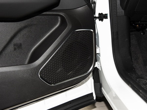 2021PLUS 1.5T ք 7 g