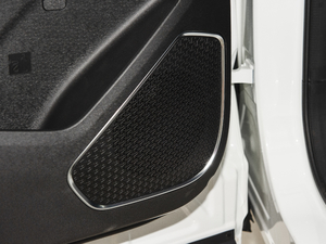 2021PLUS 1.5T ք 7 g