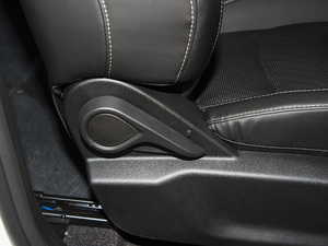 2021PLUS 1.5T ք 7 g