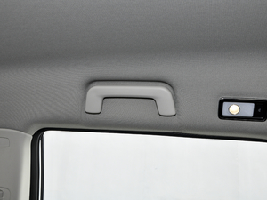 2021PLUS 1.5T DCT 5 g