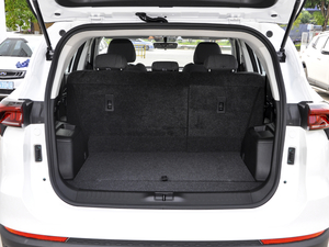 2021PLUS 1.5T DCT 5 g