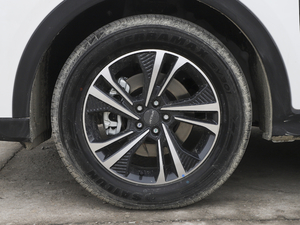 2021款PLUS 1.6T DCT辰 5座 轮圈
