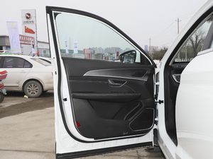 2021款PLUS 1.6T DCT辰 5座 驾驶位车门