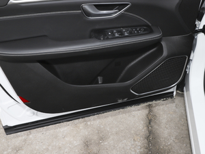 2021款PLUS 1.6T DCT辰 5座 驾驶位车门