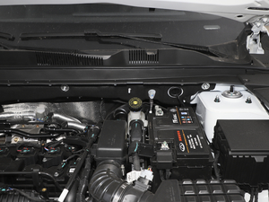 2021款PLUS 1.6T DCT辰 5座 其它