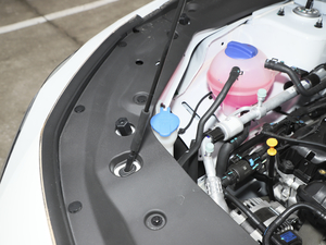 2021款PLUS 1.6T DCT辰 5座 其它