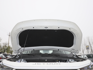 2021款PLUS 1.6T DCT辰 5座 其它
