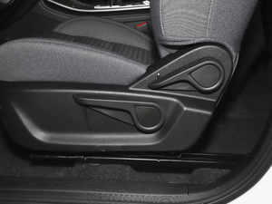 2021PLUS 1.5T քL 5 g