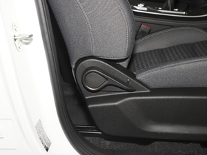 2021PLUS 1.5T քL 5 g