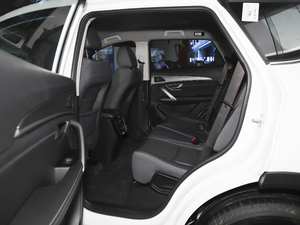 2021PLUS 1.5T քL 5 g