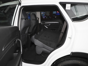 2021PLUS 1.5T քL 5 g