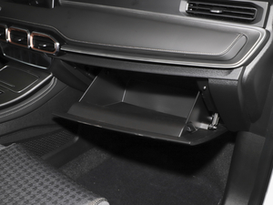 2021PLUS 1.5T քL 5 g