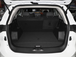 2021PLUS 1.5T քL 5 g