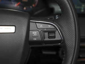 2021PLUS 1.5T քL(fng) 5 п؅^(q)