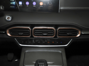 2021PLUS 1.5T քL(fng) 5 п؅^(q)