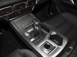 2021PLUS 1.5T քL(fng) 5 п؅^(q)