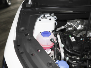 2021PLUS 1.5T ք(dng)L(fng) 5 