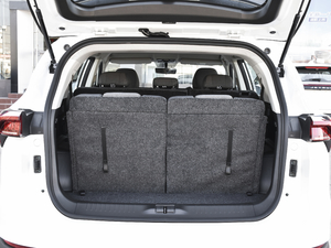 2021PLUS 1.5T DCT 7 g