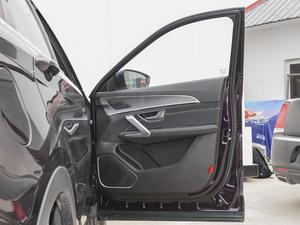 2021PLUS 1.6T DCT 7 g