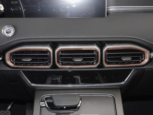 2021PLUS 1.6T DCT 7 {(dio)L