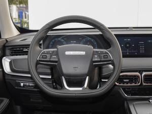 2021PLUS 1.6T DCT 7 P