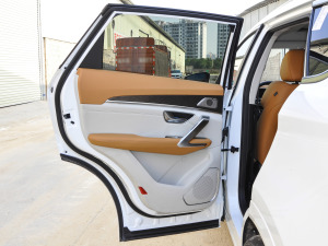 2021Ŀ PLUS 1.6T DCT 5 ܇T