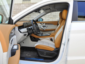 2021Ŀ PLUS 1.6T DCT 5 ǰſg