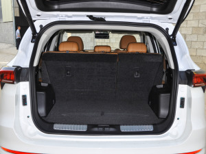 2021Ŀ PLUS 1.6T DCT 5 g